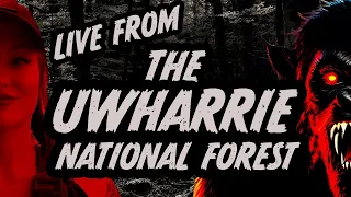 LIVE FROM THE UWHARRIE NATIONAL FOREST Bigfoot Investigation