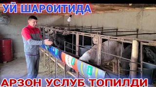 КУЙ БОКИБ 1 ОЙДА 500$ ДАРОМАТ КИЛИШ УСЛУБИ УЙ ШАРОИТИДА