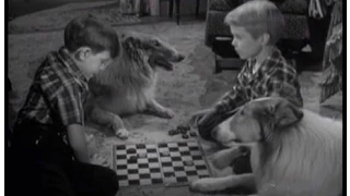 Lassie - Episode #220 - "Blacktail" - Season 7 Ep. 1 - 09/11/60