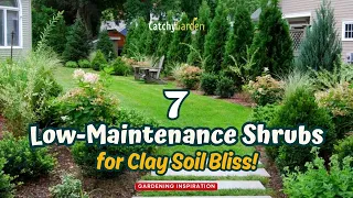 7 Low-Maintenance Shrubs for Clay Soil Bliss! 🌹🌱🍁 // Gardening Ideas