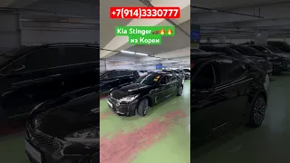 ‼️Kia Stinger из КОРЕИ‼️Отправка в РОССИЮ‼️