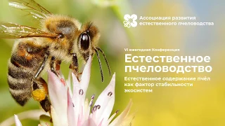 КОНФЕРЕНЦИЯ "ЕСТЕСТВЕННОЕ ПЧЕЛОВОДСТВО-2019". ДЕНЬ ПЕРВЫЙ