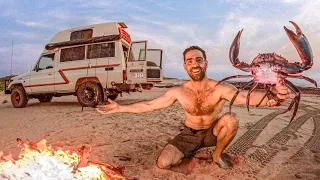 MUDCRAB CATCH & COOK BEACH CAMPING