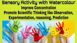 Sensory Activity | Improve Concentration | Colour mixing | Primary & Secondary Colour