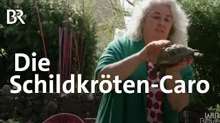 Schildkröten im Garten aufziehen | Wir in Bayern | BR