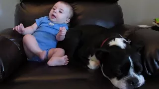 Baby's Fart Surprises Dog