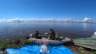 Аборигены. Первый день рыбалки. Осенняя путина 2022. Осенняя рыбалка на Амуре. Жизнь в глубинке.