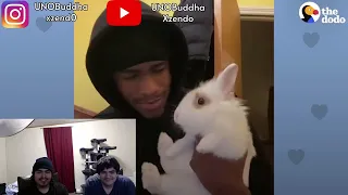 Guy Finds Abandoned Bunny At The Park And Becomes His Dad | The Dodo Soulmates | REACTION VIDEO!