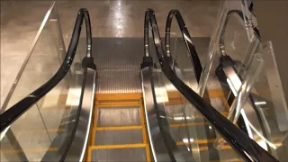 蔦屋家電のエスカレーター（東芝製）２F～６F Tsutaya kaden escalator, Hiroshima(TOSHIBA)