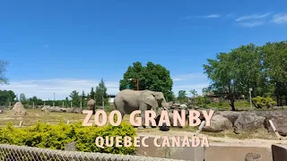 ZOO GRANBY