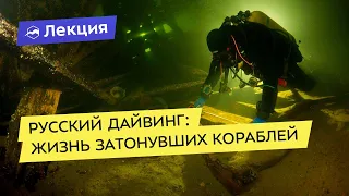 Русский дайвинг: жизнь затонувших кораблей