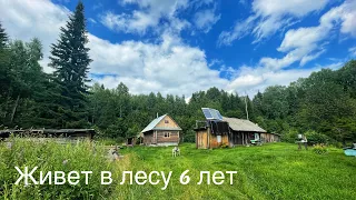 Заимка в глубинке леса | Он создал все удобства | Жизнь наедине с природой [ч.4]