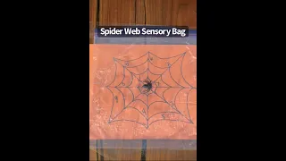 Spider Web Sensory Bag 🕷 A fun Halloween Sensory Activity for Kids