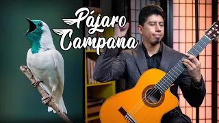 PÁJARO CAMPANA  - Performed by Alejandro Aguanta - Classical guitar