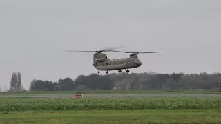 Cavalry Division helicopters,UH-60 Black Hawk, CH47 Chinook, AH-64 Apache and HH-60 Black Hawk