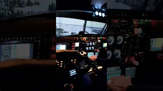 You are the captain! Dangerous landing with strong crosswind and snow on the runway!