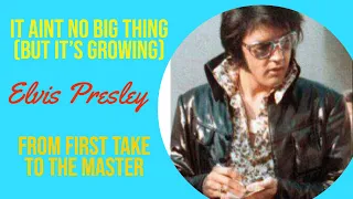 Elvis Presley - It Aint No Big Thing (But It's Growing) - From First Take to the Master