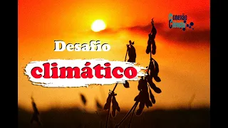 Mudanças Climáticas: desafios e oportunidades para o agro