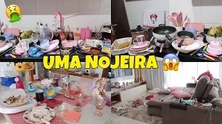 CANSEI!! 4 DIAS SEM ARRUMAR CASA 😰 OLHA O ESTADO QUE FICOU - FAXINA PESADA NA CASA | Dani Mendes