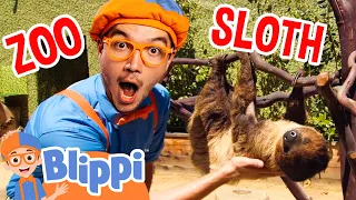 Blippi Pets a Sloth at the Zoo and More Animals! | Fun Learning | Educational Videos for Kids