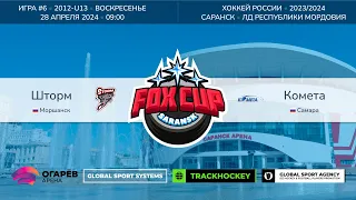 Матч №6 • Шторм — Комета • Fox Cup 2012-U13  • ЛД Республики Мордовия • 28 апреля 2024 в 09:00