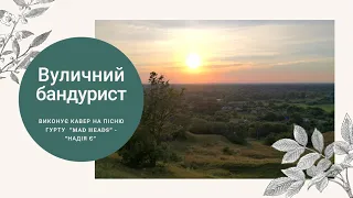 Український кобзар з гурту "Вуличні бандуристи" виконує кавер на пісню "Надія Є" Mad Heads: бандура