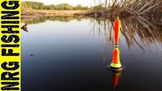 Рыбалка на крупного карася в тихой заводи | невозможно оторвать глаз от поплавка