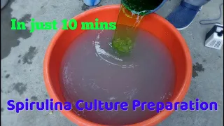 How to prepare Spirulina culture | Organic | 7057700035 |