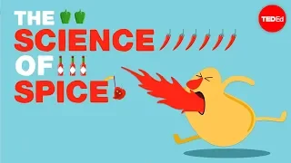 The science of spiciness - Rose Eveleth