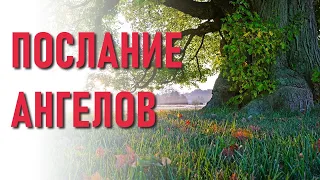 🔹Мечты о лучшем будущем-Послания Ангелов- ченнелинг