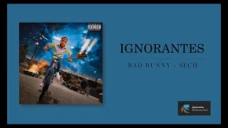 Ignorantes || Bad Bunny - Sech || Letra