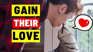 8 PROVEN Ways to Get a Cat to LOVE You