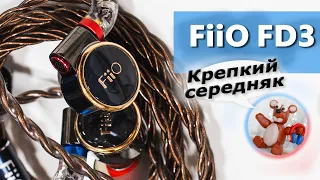 FiiO FD3 headphones review [RU]