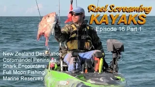 Shark Eats Fish During Full Moon Fishing Kayak Fishing - RSK Ep 16 part 1