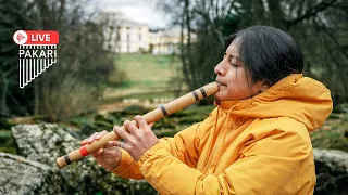 Pakari - Andean quena music🏞