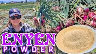 ENYEN POWDER MAKING| Mrs. Harabas