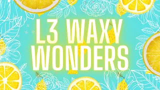 L3 Waxy Wonders Haul | RTS and Preorder 🍃🌿🪴