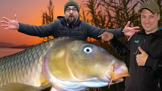 Враження від Зустрічі з "Королем Водойми" ● RoMaX Fishing ●