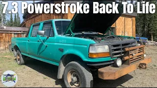 Running After 10 Years - 7.3 Powerstroke Troubleshooting