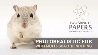 Photorealistic Fur With Multi-Scale Rendering | Two Minute Papers #183