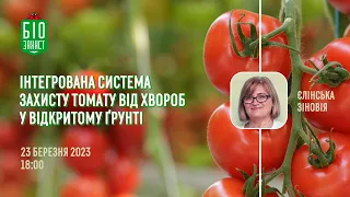 Вебінар 🔥  Інтегрована система захисту томату від хвороб у відкритому ґрунті.