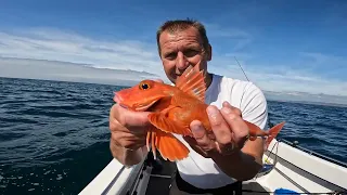 Awesome weather at last! Part 2 - Reefs (UK boat fishing from my Warrior 175)
