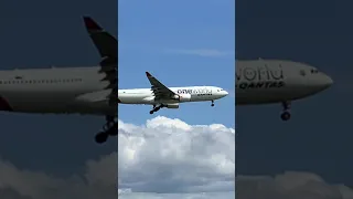 *SMOOTH BUTTER* A330-200 Qantas One World Landing At Auckland Airport