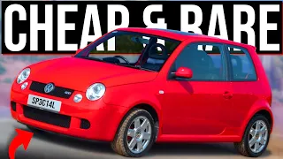 5 CHEAPEST Hot Hatchbacks Which Are INSANELY RARE! (Head Turners)
