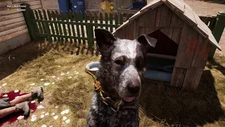 Far Cry 5 - Man's Best Friend: Rae-Rae's Pumpkin Farm: Specialist Boomer (Dog Scout) Unlocked (2018)