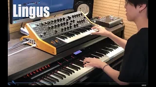 Lingus Solo Part Improv - Moog x RD2000