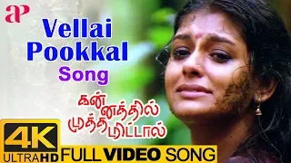 Vellai Pookal Full Video Song 4K | Kannathil Muthamittal 4K Video Songs | Nandita Das | AR Rahman