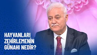 Hayvanları zehirlemenin günahı nedir? - Nihat Hatipoğlu Sorularınızı Cevaplıyor 431. Bölüm