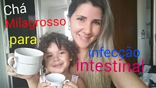 O MELHOR Chá para infecção intestinal!