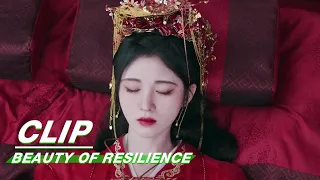 Yan Yue Betrays Wei Zhi | Beauty of Resilience EP24 | 花戎 | iQIYI